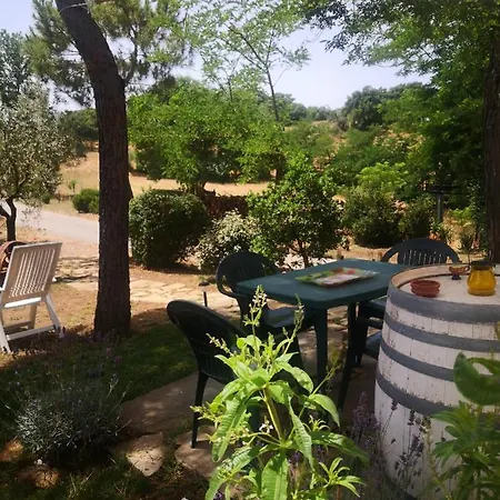 Podere Pini Magliano in Toscana Exterior photo
