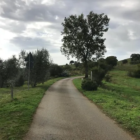 Podere Pini Magliano in Toscana Exterior photo