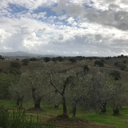 Podere Pini Magliano in Toscana Exterior photo