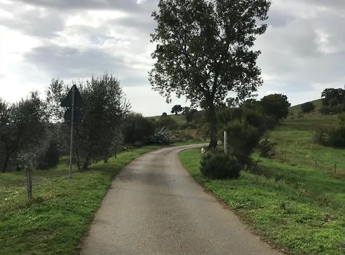 Podere Pini