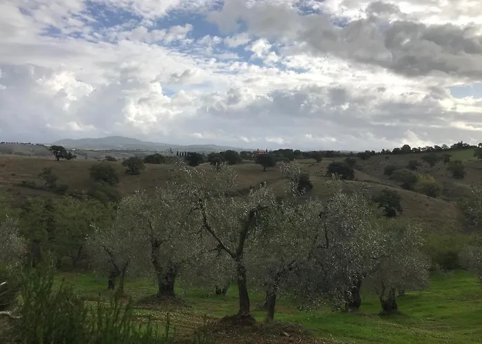 Podere Pini