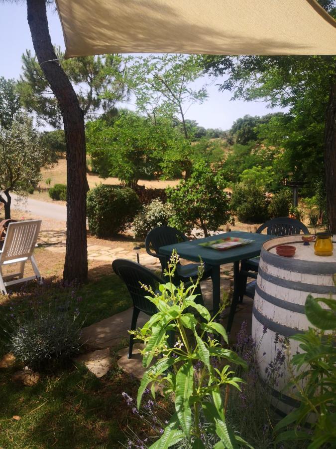 Podere Pini * Magliano in Toscana