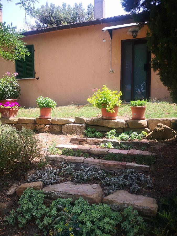Holiday home Podere Pini Magliano in Toscana