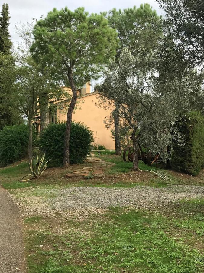 Podere Pini Holiday home Magliano in Toscana