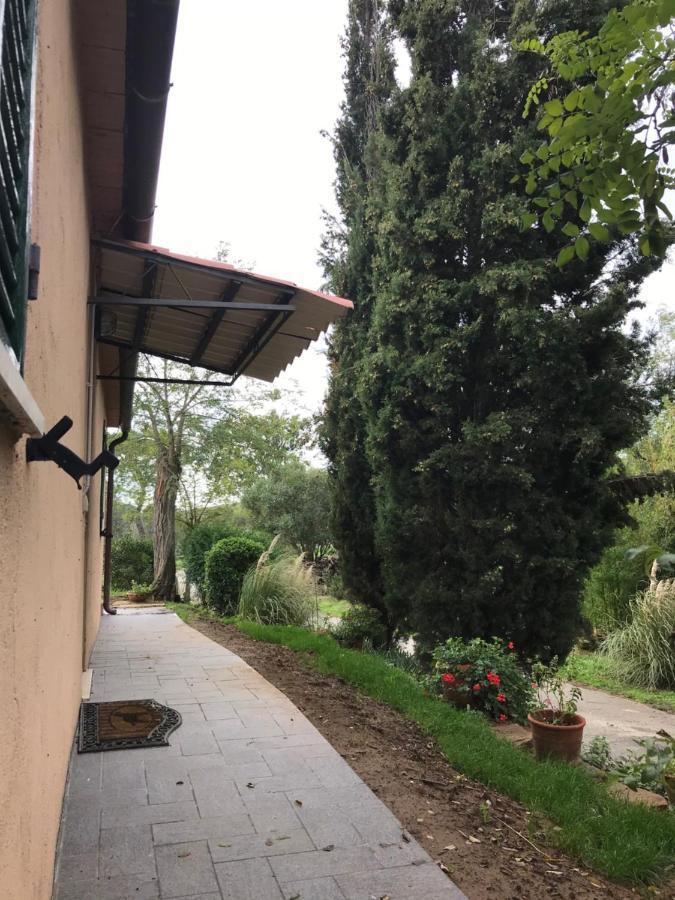 Podere Pini