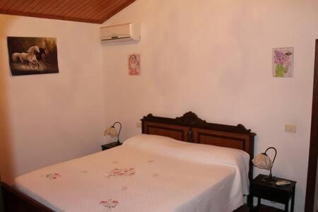 Ferienhaus Podere Pini Magliano in Toscana