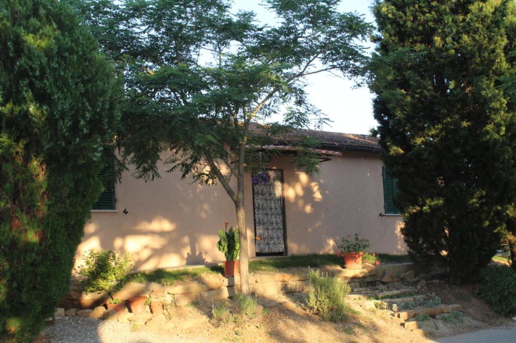 Holiday home Podere Pini