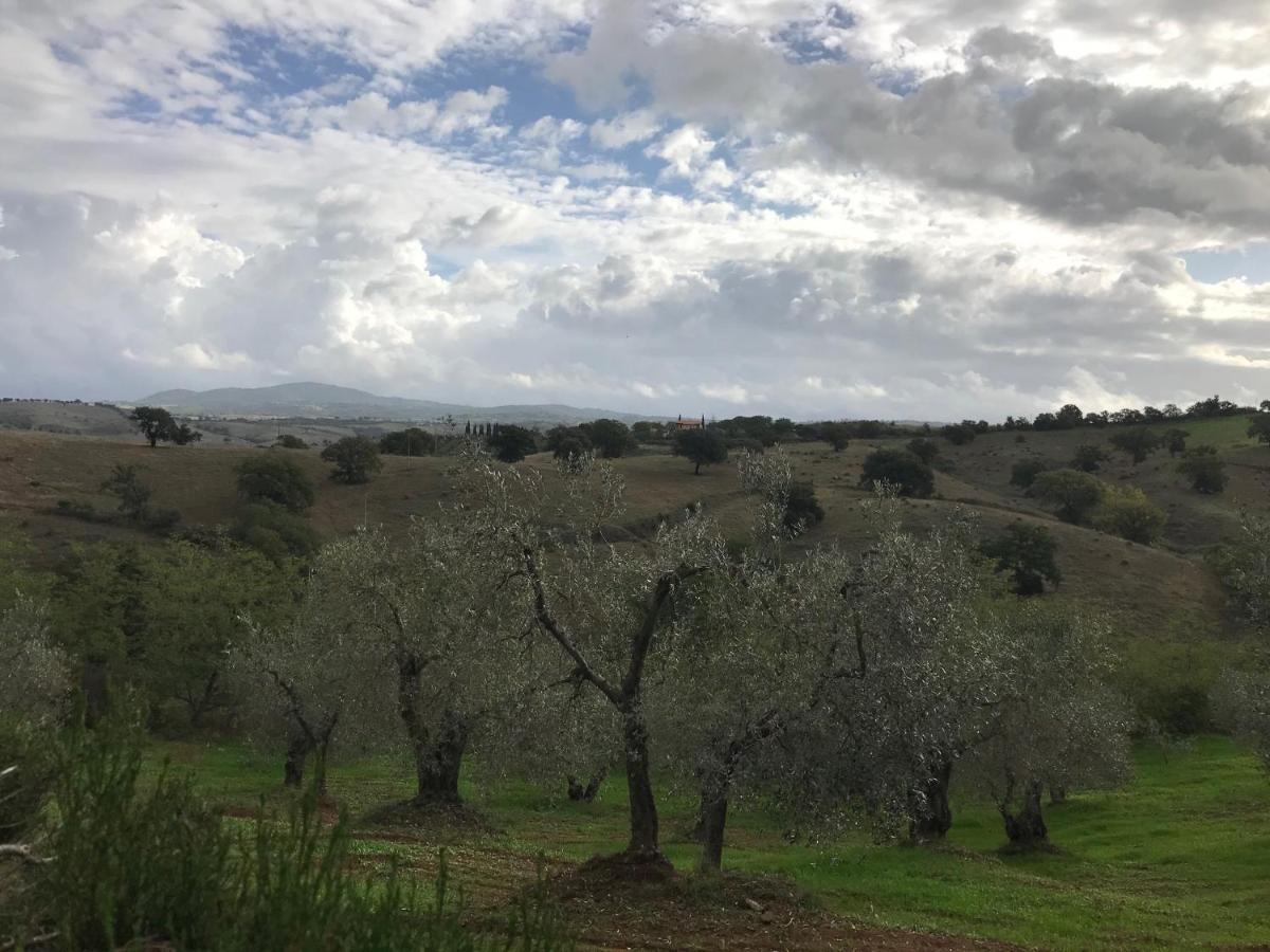 Podere Pini Holiday home *